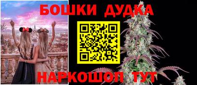 индика Волжский