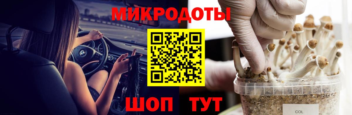 купить   Псилоцибиновые грибы MAGIC MUSHROOMS  Вход с VPN  Менделеевск  Псилоцибиновые грибы мицелий 